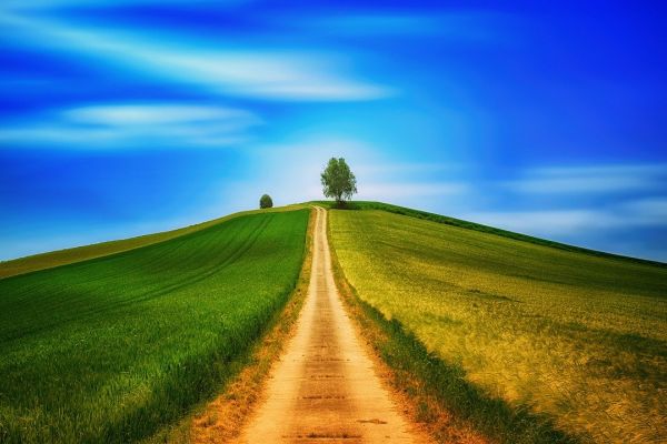 "Un cammino lungo un giorno", gli eventi per rendere visibile la cultura della disabilità