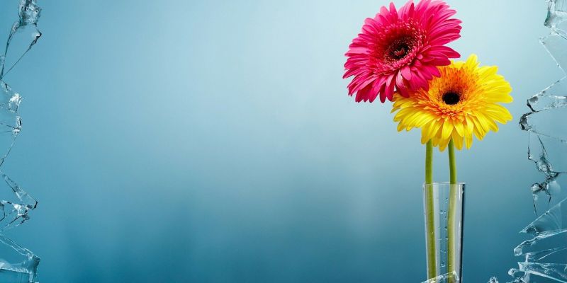 "La mia creatura": il 3 dicembre un incontro online su violenza di genere e donne con disabilità