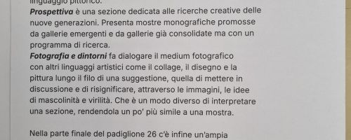 “Cosa sarà” la cultura accessibile? Promuovere l’accessibilità culturale ad Arte Fiera di Bologna