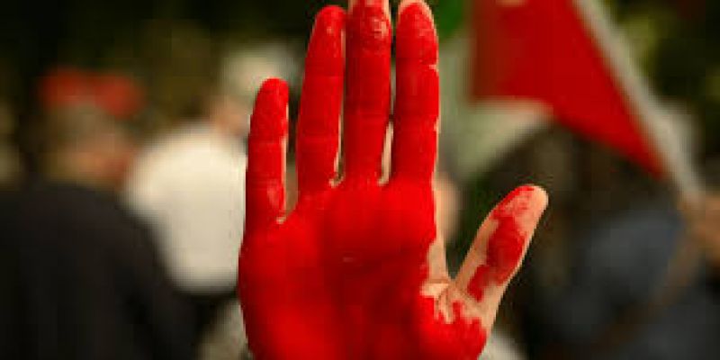 Il 9 maggio l'Europa è per Gaza. La poesia di Refaat Alareer in simboli CAA