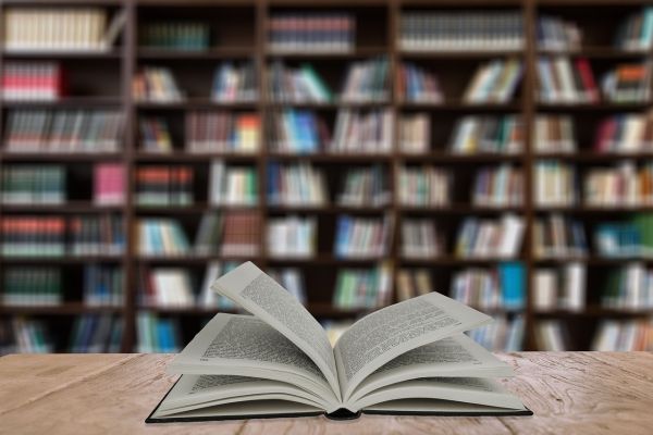 Partecipa al questionario per migliorare l’accessibilità delle biblioteche del Comune di Bologna