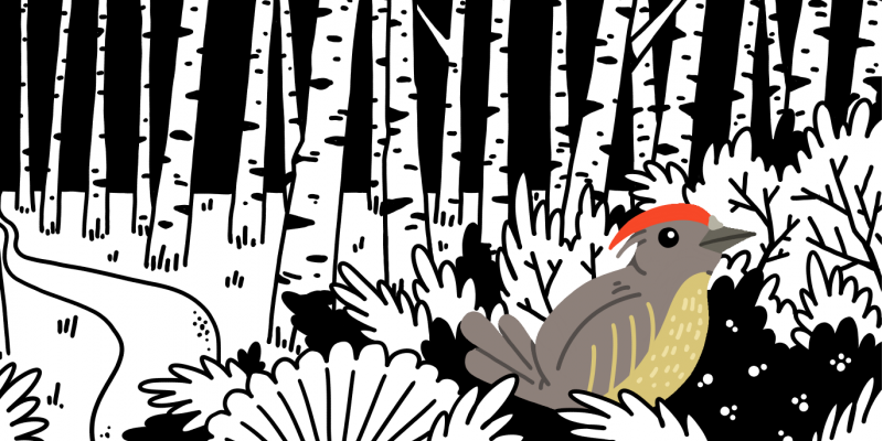 Aperto al pubblico il Fondo Librario Andrea Canevaro al CDH e alla Biblioteca di Scienze dell'Educazione "Mario Gattullo" di Bologna