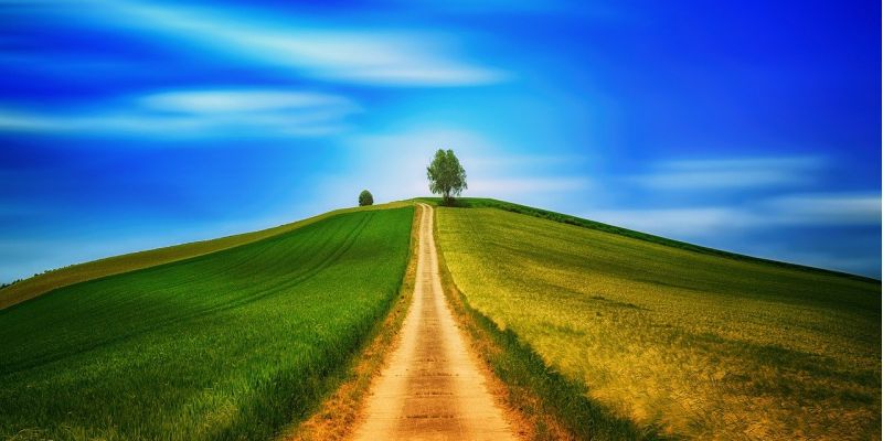 "Un cammino lungo un giorno", gli eventi per rendere visibile la cultura della disabilità