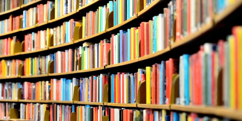 Esercizi di democrazia per bibliotecarie/i