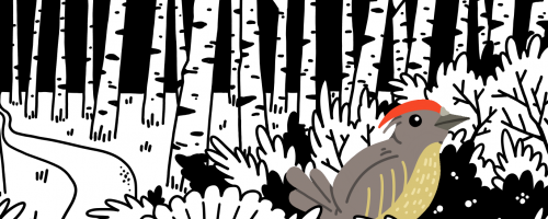 Aperto al pubblico il Fondo Librario Andrea Canevaro al CDH e alla Biblioteca di Scienze dell'Educazione "Mario Gattullo" di Bologna